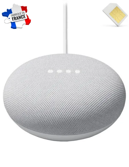 Assistant vocal - Google Nest mini - Micro espion GSM