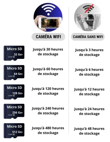 Carte mémoire Micro SD 32 Go - Securvision